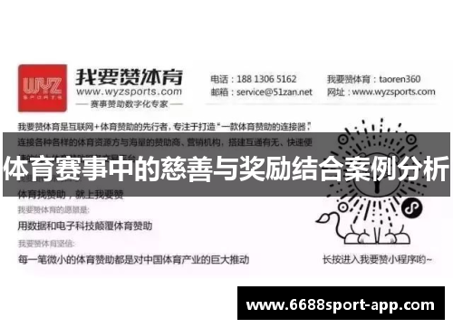 体育赛事中的慈善与奖励结合案例分析